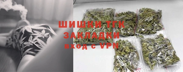 гашик Новозыбков