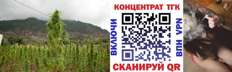 где найти   Иркутск  ТГК вейп с тгк 