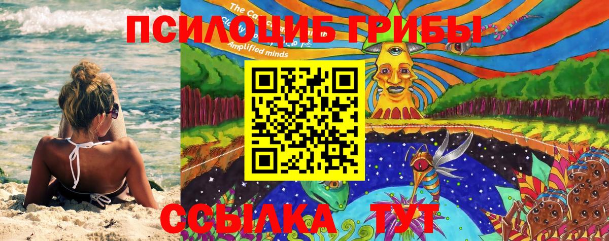 Псилоцибиновые грибы Magic Shrooms  Вход с VPN  Иркутск  Псилоцибиновые грибы Cubensis 